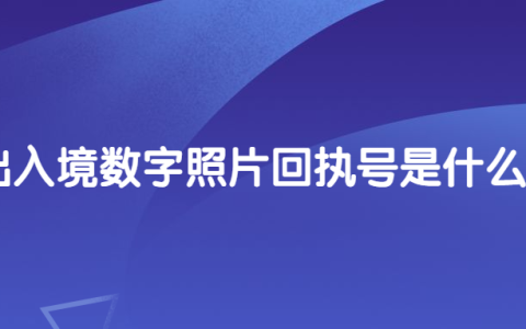 出入境数字照片回执号是什么？