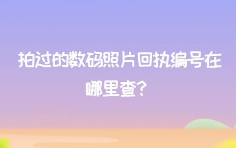 拍过的数码照片回执编号在哪里查？