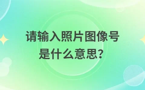 请输入照片图像号是什么意思？