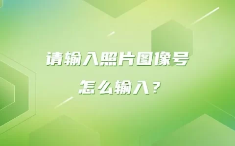 请输入照片图像号怎么输入？
