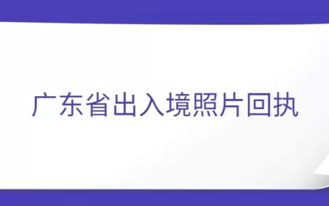 广东省出入境照片回执