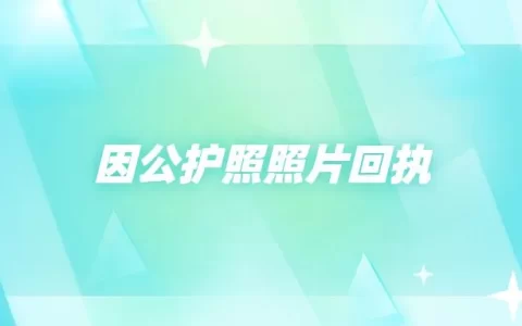 因公护照照片回执