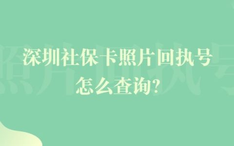 深圳社保卡照片回执号怎么查询？