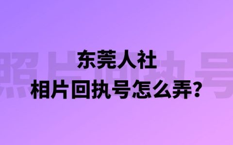 东莞人社相片回执号怎么弄？