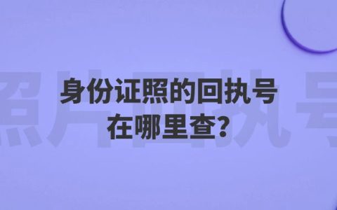 身份证照的回执号在哪里查？