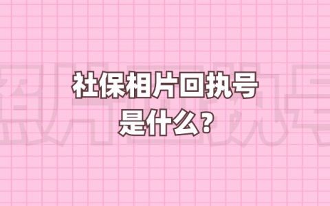 社保相片回执号是什么？