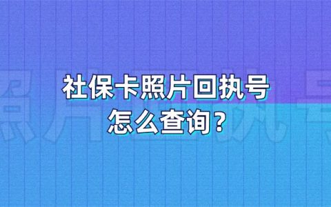 社保卡照片回执号怎么查询？