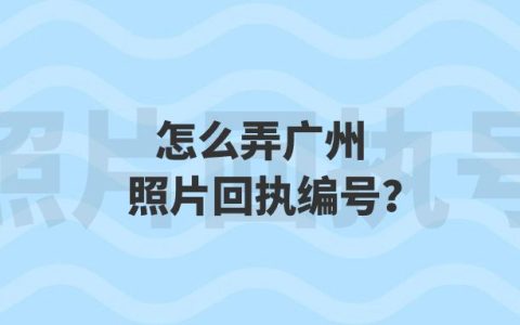 怎么弄广州照片回执编号？