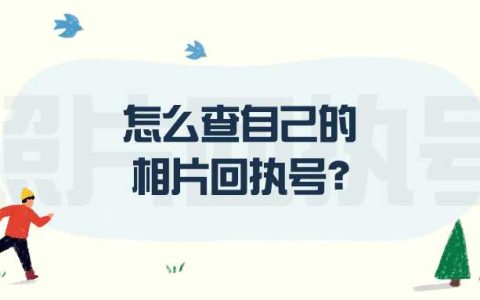 怎么查自己的相片回执号？