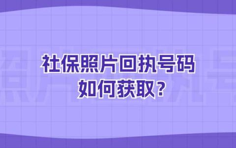 社保照片回执号码如何获取？