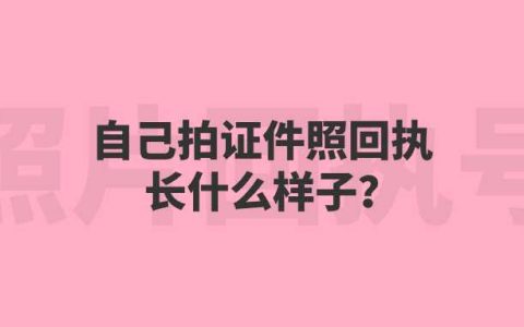 自己拍证件照回执长什么样子？