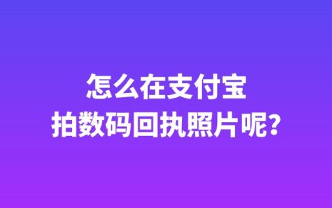 怎么在支付宝拍数码回执照片呢？