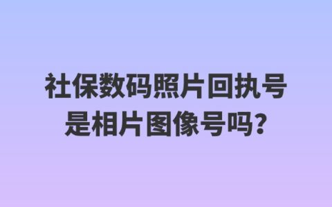 社保数码照片回执号是相片图像号吗？