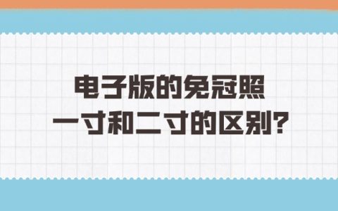 电子版的免冠照一寸和二寸的区别？